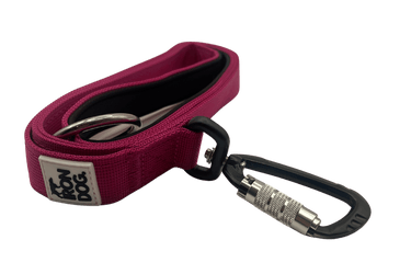 Irondog® Pivot Carabiner Clip Lead – 1.5m - BUDDYBOTTLE